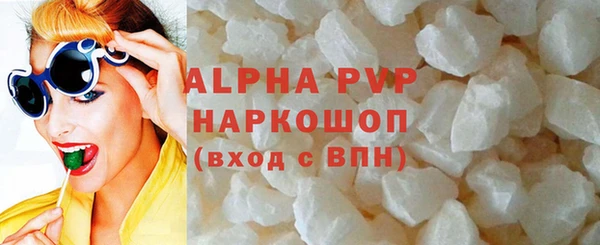 индика Горняк