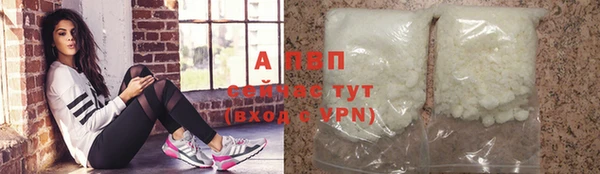 спиды Горно-Алтайск