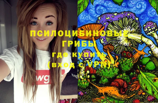 мдпв Арсеньев