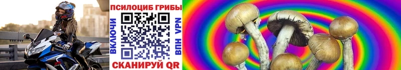 OMG как войти  Починок  Галлюциногенные грибы Psilocybe 