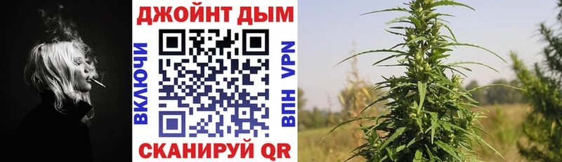 дарнет шоп  Починок  Конопля марихуана 
